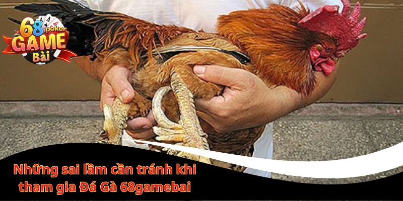 Đá gà 68gamebai – Đá gà online trực tiếp, thắng lớn mỗi ngày 3 Những sai lầm cần tránh khi tham gia Đá Gà 68gamebai